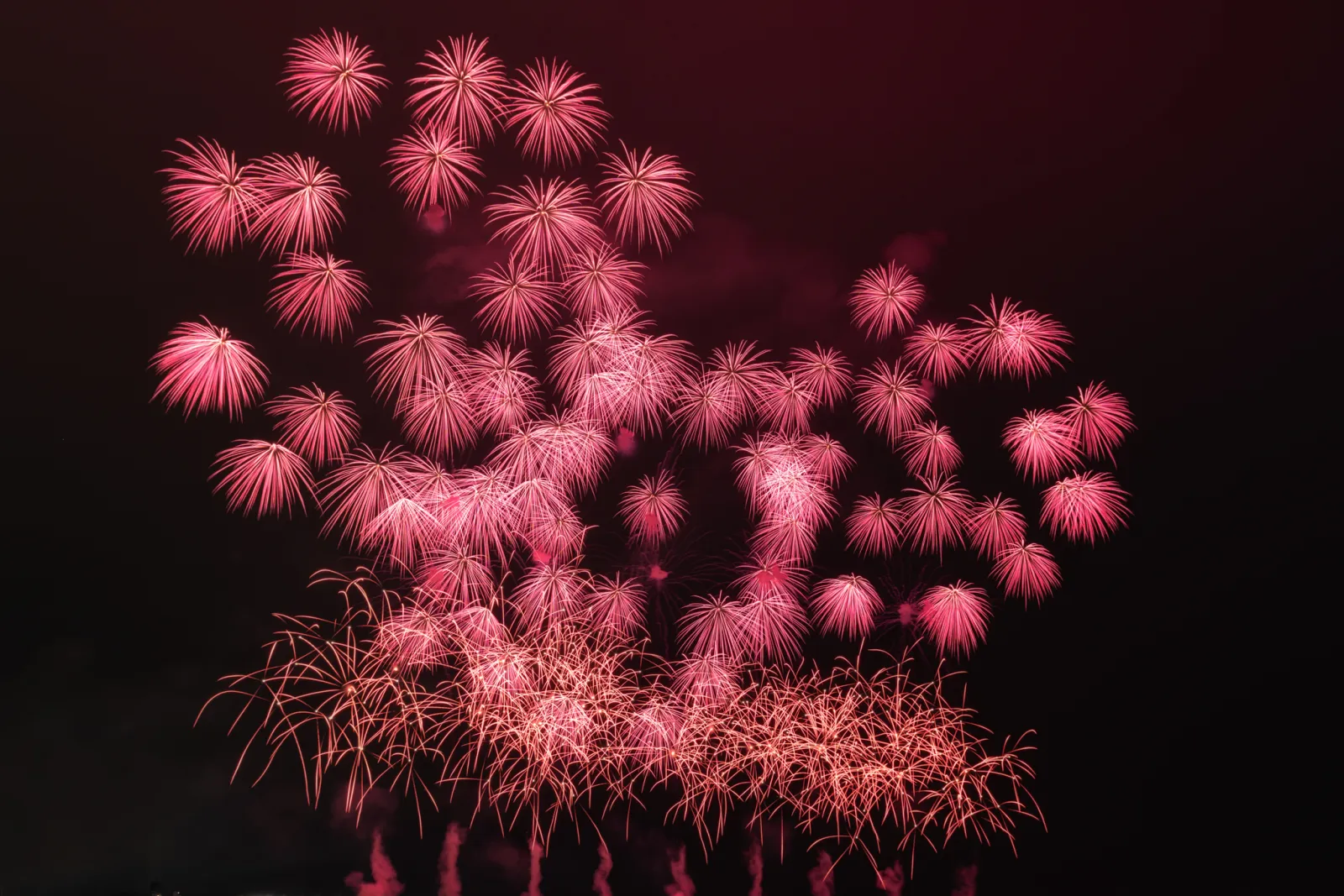 いわき花火大会でピンク色の花火が連続して打ち上がる様子